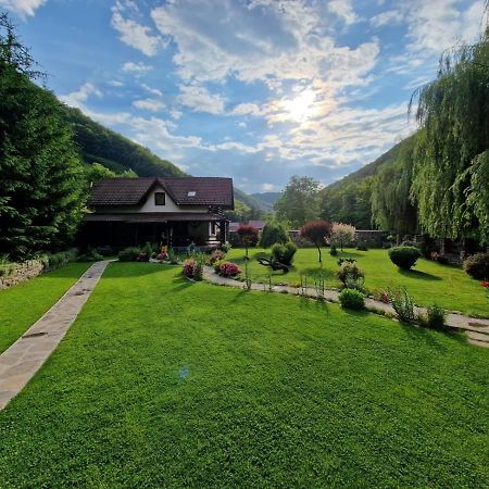 Villa Casa De Piatra à Strungari Extérieur photo