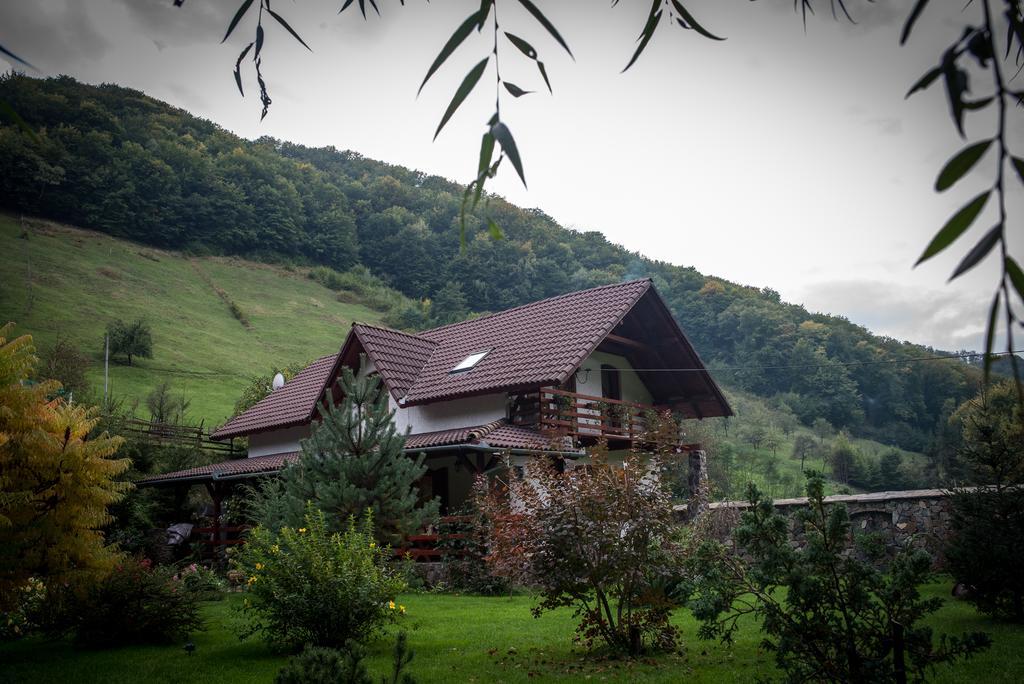 Villa Casa De Piatra à Strungari Extérieur photo