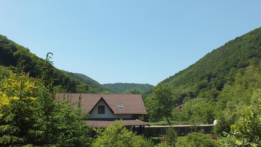 Villa Casa De Piatra à Strungari Extérieur photo